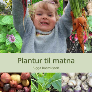 Plantur til matna (22) - Image 1