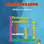 9864.jpg