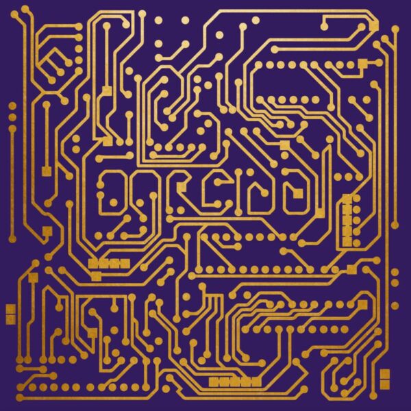 Ógreiða - Tjant, LP