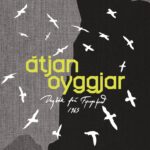 Átjan oyggjar (30)