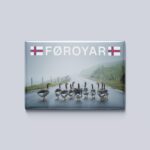 Føroyar - gæs, magnet