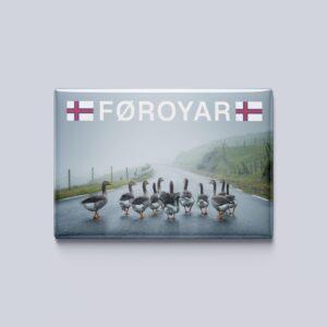 Føroyar - gæs, magnet