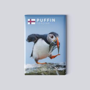 Lundi við sild, magnet